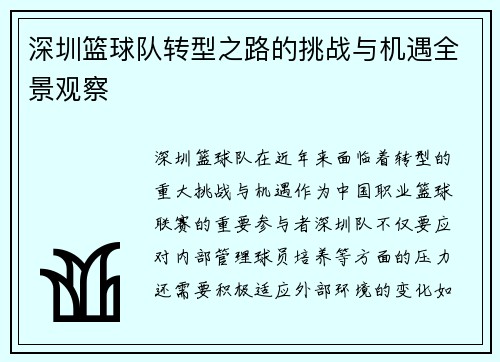 深圳篮球队转型之路的挑战与机遇全景观察
